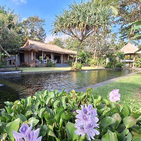 Bali Beach Eco Villas Pondok Matekap Selemadeg Kültér fotó