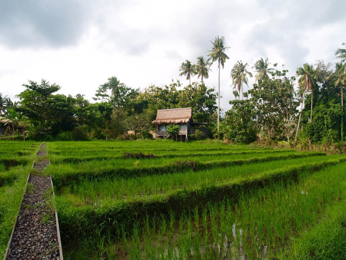 Bali Beach Eco Villas Pondok Matekap Selemadeg Kültér fotó