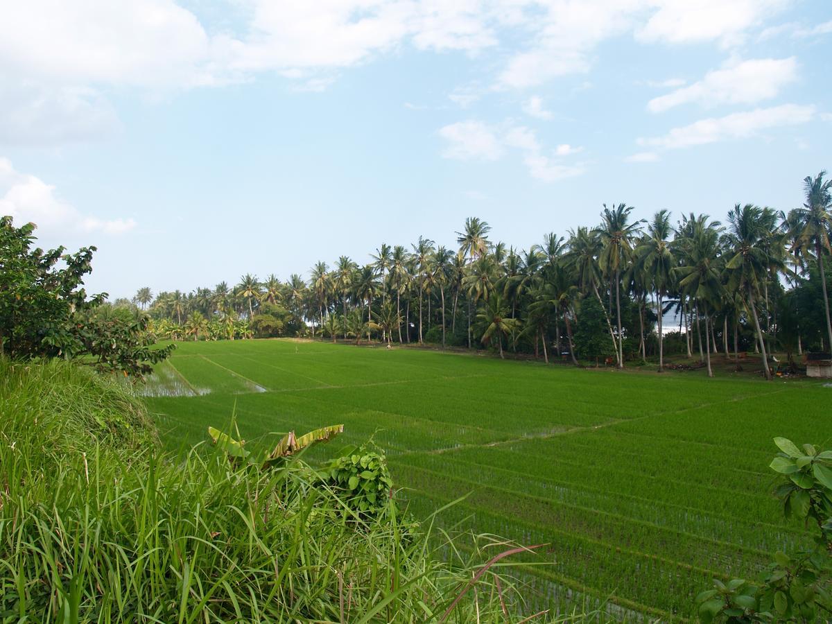 Bali Beach Eco Villas Pondok Matekap Selemadeg Kültér fotó