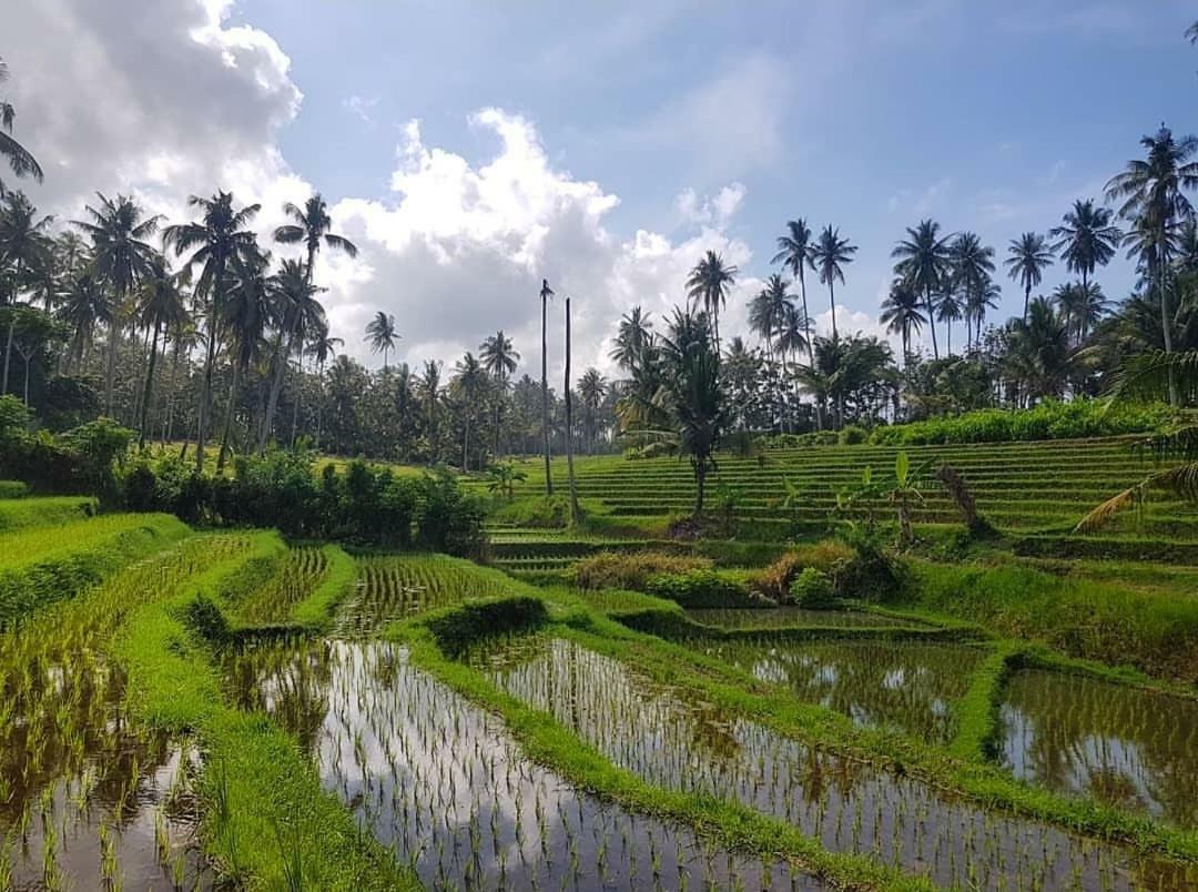 Bali Beach Eco Villas Pondok Matekap Selemadeg Kültér fotó