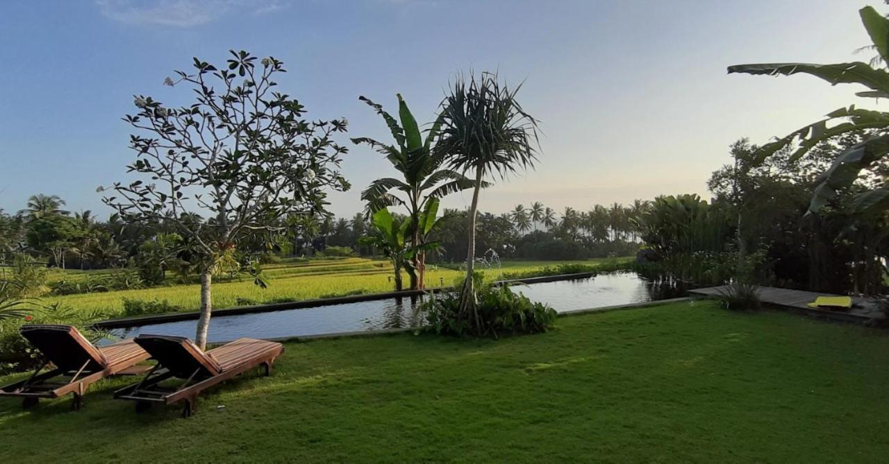 Bali Beach Eco Villas Pondok Matekap Selemadeg Kültér fotó